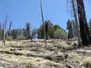 photo thumbnail #11