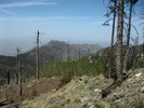 photo thumbnail #12