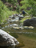 photo thumbnail #11