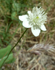 2013-05-03 :1: Aravaipa Canyon :: cindyl