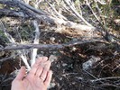 photo thumbnail #5