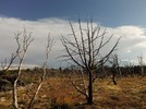 photo thumbnail #6