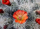 photo thumbnail #8