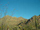 photo thumbnail #1