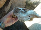 photo thumbnail #4