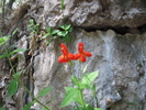 2013-05-11 :1: West Clear Creek & Blodgett Canyon Loop :: joebartels