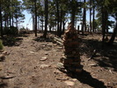 photo thumbnail #6
