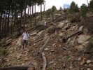 photo thumbnail #11