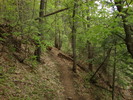 photo thumbnail #12