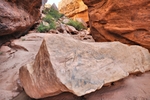 photo thumbnail #12