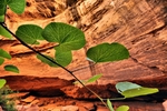 photo thumbnail #14