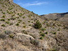 photo thumbnail #13
