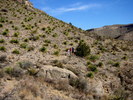 photo thumbnail #14
