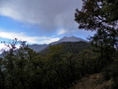 photo thumbnail #6