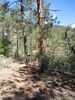 photo thumbnail #1