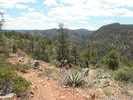 photo thumbnail #5
