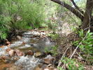photo thumbnail #9