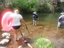 photo thumbnail #13