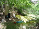 photo thumbnail #12