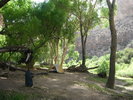 photo thumbnail #14