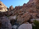 photo thumbnail #10