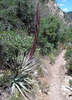photo thumbnail #3