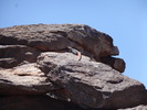 photo thumbnail #1