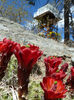 photo thumbnail #9