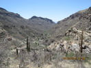 photo thumbnail #2