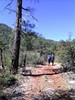 photo thumbnail #4