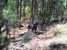 photo thumbnail #9