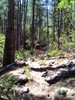 photo thumbnail #12