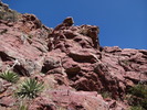 photo thumbnail #1