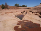 photo thumbnail #13