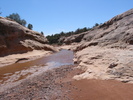 photo thumbnail #14
