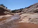 photo thumbnail #15