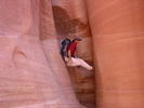 photo thumbnail #1