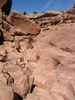 photo thumbnail #15