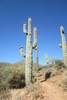 photo thumbnail #5
