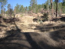 photo thumbnail #1