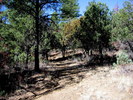 photo thumbnail #7