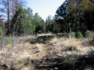photo thumbnail #8