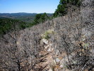 photo thumbnail #9