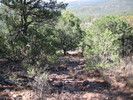 photo thumbnail #10