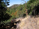 photo thumbnail #11