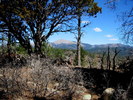 photo thumbnail #13