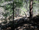photo thumbnail #14