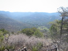 photo thumbnail #9