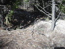 photo thumbnail #10