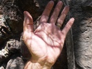 photo thumbnail #12